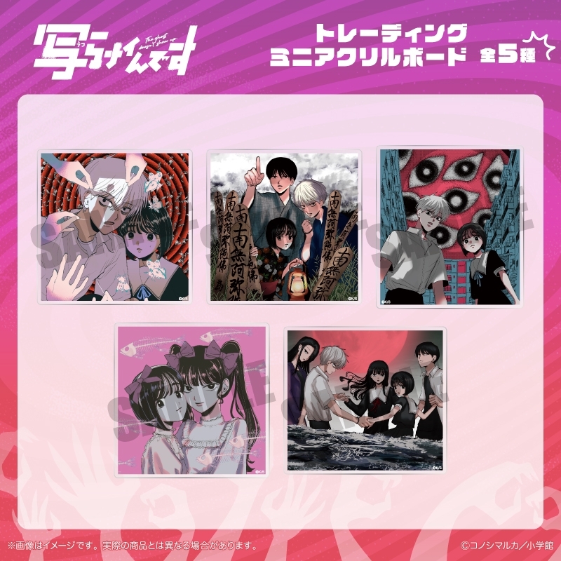 【グッズ-ボード】写らナイんです トレーディングミニアクリルボード