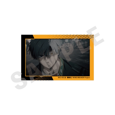【グッズ-カード】TVアニメ『WIND BREAKER』 ~favorite series~ ビジュアルカードセット(桜 遥)