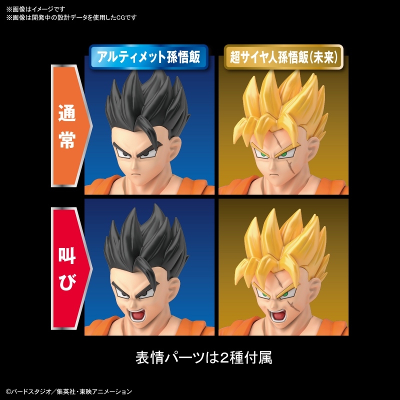 プラモデル Figure Rise Standard ドラゴンボール アルティメット孫悟飯 アニメイト