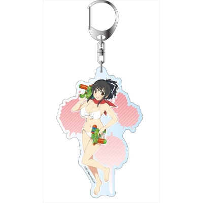 【グッズ-キーホルダー】閃乱カグラ PEACH BEACH SPLASH デカキーホルダー 飛鳥