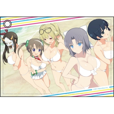 【グッズ-パスケース】閃乱カグラ PEACH BEACH SPLASH 合皮パスケース 死塾月閃女学館