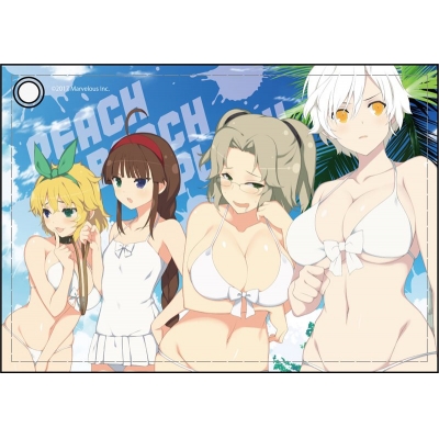 【グッズ-パスケース】閃乱カグラ PEACH BEACH SPLASH 合皮パスケース 秘立蛇女子学園