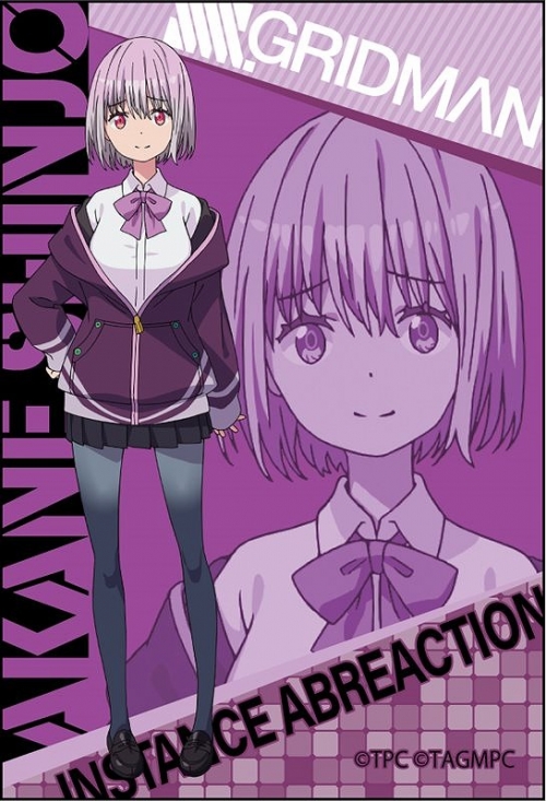 グッズ マグネット Ssss Gridman スクエアマグネット 新条アカネ アニメイト