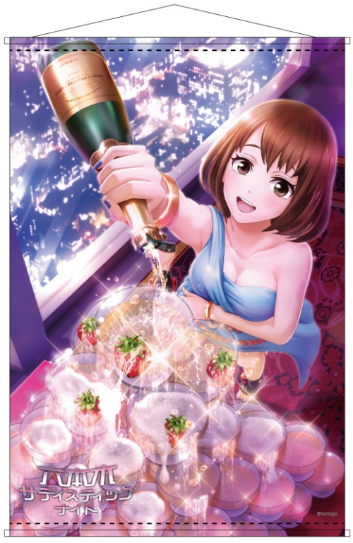 グッズ タペストリー 六本木サディステックナイト B2タペストリー 弓長 ハル アニメイト