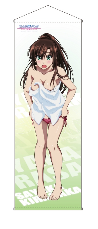 グッズ タペストリー ストライク ザ ブラッド 特大タペストリー 煌坂 紗矢華 タオル Ver アニメイト