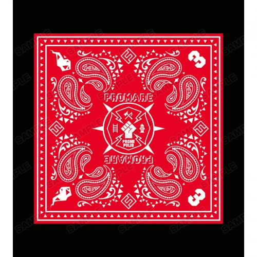 グッズ ジャンパー コート プロメア バンダナデザイン パーカーレディース サイズ Xl アニメイト グッズ ジャンパー コート プロメア バンダナデザイン パーカーレディース サイズ Xl アニメイト