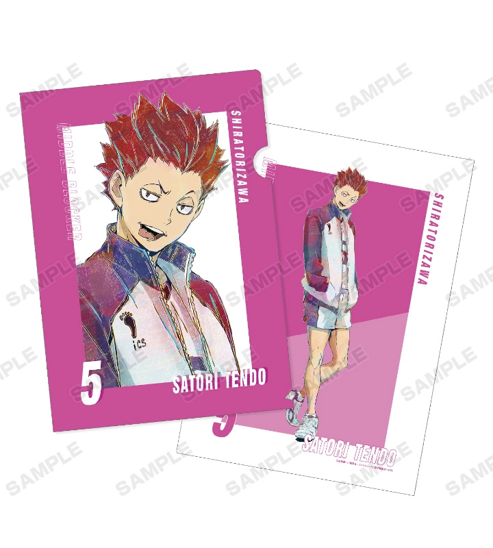 グッズ クリアファイル ハイキュー To The Top 天童覚 Ani Art 第5弾 クリアファイル アニメイト