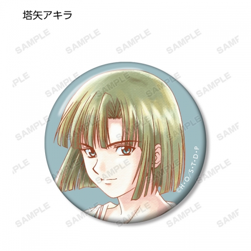 グッズ バッチ ヒカルの碁 トレーディング Ani Art Aqua Label 缶バッジ アニメイト