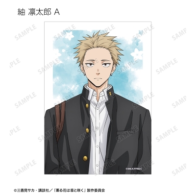 【グッズ-ブロマイド】TVアニメ『薫る花は凛と咲く』 トレーディングブロマイド3枚セット