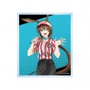 【グッズ-カード】アークナイツ【焔燼曙明/RISE FROM EMBER】 描き下ろし アーミヤ アクティビティスタッフver. アクリルカードの画像