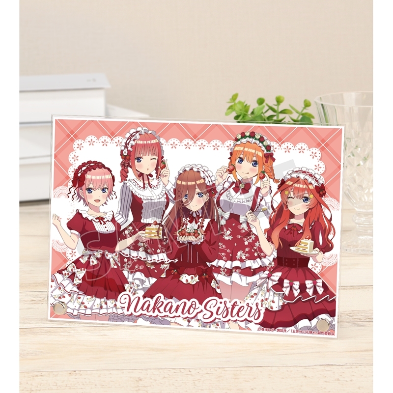 【グッズ-置きもの】五等分の花嫁＊ 描き下ろし 集合 ショートケーキイメージコーデver. A5アクリルパネル【アニメイト先行販売】