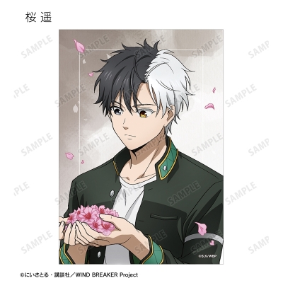 【グッズ-ブロマイド】TVアニメ『WIND BREAKER』 描き下ろし 春の歩みver. トレーディングブロマイド