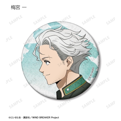 【グッズ-バッチ】TVアニメ『WIND BREAKER』 描き下ろし 春の歩みver. トレーディンググリッター缶バッジ