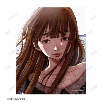 グッズ-ボード】おやすみプンプン 田中愛子 F3号キャンバスボード vol 