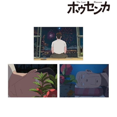 【グッズ-ポストカード】『ホウセンカ』 ポストカード3枚セット