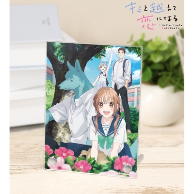 【グッズ-置きもの】TVアニメ『キミと越えて恋になる』 キービジュアル A6アクリルパネル