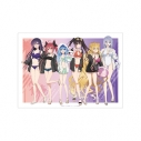 【グッズ-ポスター】アニメ「デート・ア・ライブV」 描き下ろし 集合 ビーチデートver. A3マット加工ポスターの画像