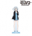【グッズ-スタンドポップ】第501統合戦闘航空団 ストライクウィッチーズ ROAD to BERLIN arti-mate BIGアクリルスタンド サーニャ・V・リトヴャク 描き下ろし 水着ver.【アニメイト限定】の画像