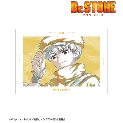 【グッズ-ポスター】TVアニメ「Dr.STONE」 西園寺羽京 Ani-Art 第3弾 A3マット加工ポスター