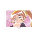 【グッズ-ポスター】TVアニメ『怪盗セイント・テール』 怪盗セイント・テール Ani-Art aqua label A3マット加工ポスターの画像