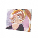 【グッズ-ボード】TVアニメ『怪盗セイント・テール』 怪盗セイント・テール Ani-Art aqua label F0号キャンバスボードの画像