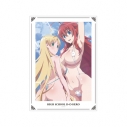 【グッズ-ポスター】ハイスクールD×D HERO A3マットポスター Cの画像