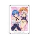 【グッズ-ポスター】ハイスクールD×D HERO A3マットポスター Dの画像