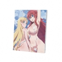 【グッズ-ボード】ハイスクールD×D HERO F3号キャンバスボード Bの画像