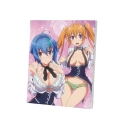 【グッズ-ボード】ハイスクールD×D HERO F3号キャンバスボード Cの画像
