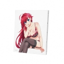 【グッズ-ボード】ハイスクールD×D HERO F3号キャンバスボード Dの画像