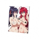 【グッズ-ボード】ハイスクールD×D HERO F3号キャンバスボード Eの画像