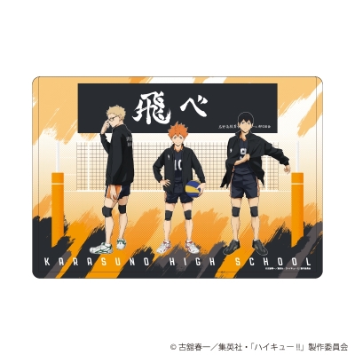 【グッズ-カードケース】ハイキュー!! キャラクリアケース11/烏野高校