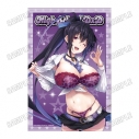 【グッズ-タペストリー】「ハイスクールD×D」 描き下ろしB2タペストリー【アメスクver.】②姫島朱乃の画像