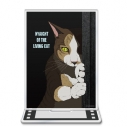 【グッズ-スタンドポップ】TVアニメ「ニャイト・オブ・ザ・リビングキャット」 アクリルキャラスタンドCの画像