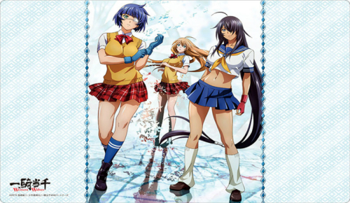 グッズ マット 一騎当千 Western Wolves ブシロード ラバーマットコレクション 孫策 呂蒙 関羽 アニメイト