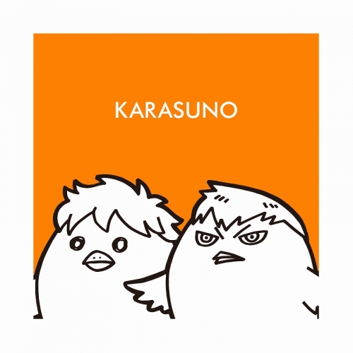 グッズ Tシャツ ハイキュー トレーナー ヒナガラス カゲガラス レディース サイズ L アニメイト