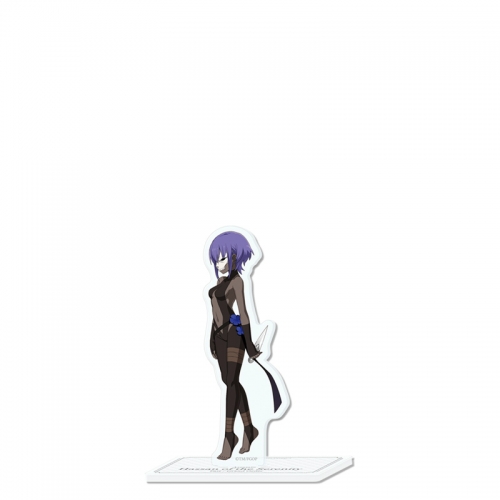 グッズ スタンドポップ Fate Grand Order バトルキャラ風アクリルスタンド アサシン 静謐のハサン アニメイト グッズ スタンドポップ Fate Grand Order バトルキャラ風アクリルスタンド アサシン 静謐のハサン アニメイト