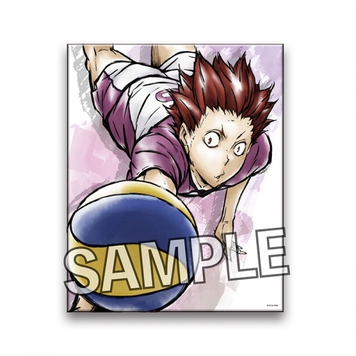 グッズ 置きもの ハイキュー To The Top 激闘 キャンバスアート 天童覚 アニメイト グッズ 置きもの ハイキュー To The Top 激闘 キャンバスアート 天童覚 アニメイト