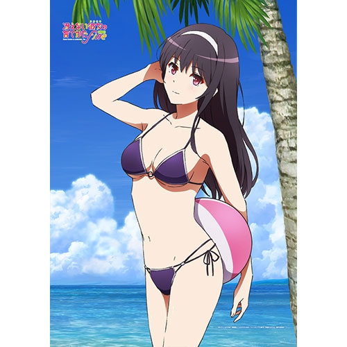 グッズ タペストリー 冴えない彼女の育てかた Fine 描き下ろしb2タペストリー 詩羽 水着 アニメイト