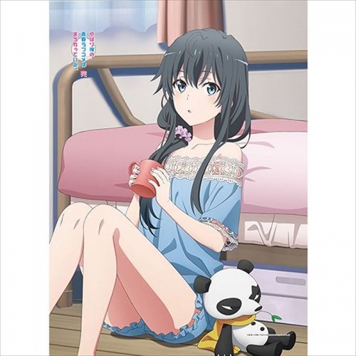グッズ タペストリー やはり俺の青春ラブコメはまちがっている 完 描き下ろしb2タペストリー 雪乃 パジャマ アニメイト