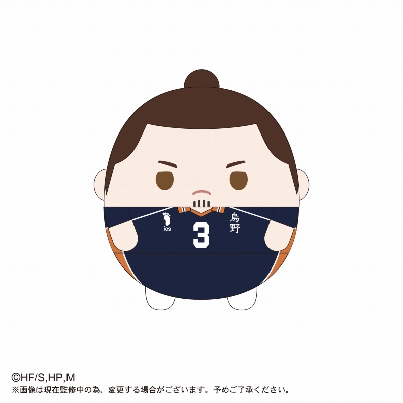 グッズ ぬいぐるみ ハイキュー ふわコロりんmsize3 C東峰旭 アニメイト