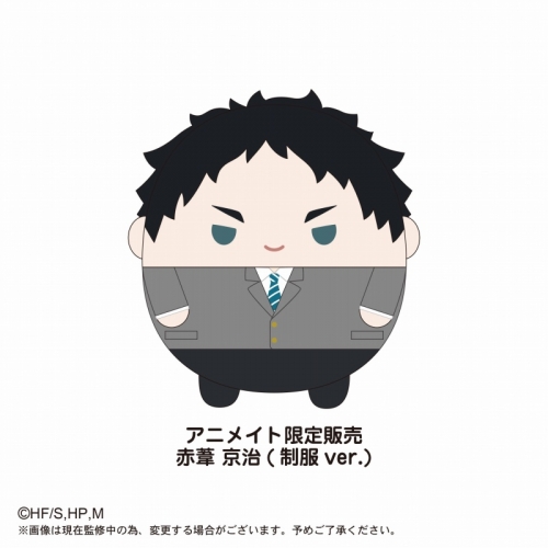 グッズ ぬいぐるみ ハイキュー ふわコロりんmsize3 H赤葦京治 制服ver アニメイト限定 アニメイト