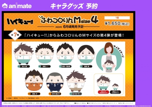 グッズ-ぬいぐるみ】ハイキュー!! ふわコロりんMsize4 E西谷夕  