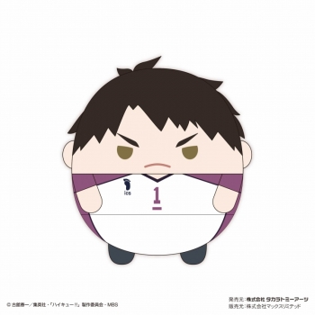 グッズ-ぬいぐるみ】ハイキュー!! ふわコロりんMsize7 F:牛島若利 