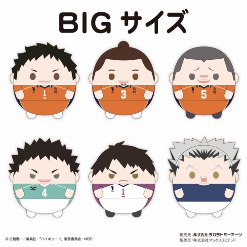 グッズ-ぬいぐるみ】ハイキュー!! ふわコロりんBIG7 A:澤村大地 