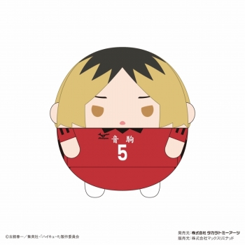 グッズ-ぬいぐるみ】ハイキュー!! ふわコロりんMsize8 A：孤爪研磨 