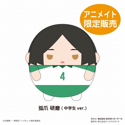 グッズ-ぬいぐるみ】ハイキュー!! ふわコロりんMsize8 I：孤爪研磨 