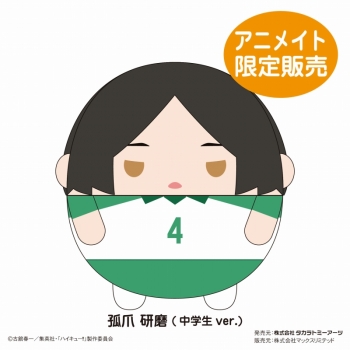 グッズ-ぬいぐるみ】ハイキュー!! ふわコロりんBIG8 I:孤爪研磨 ハイキュー ふわコロりん8 孤爪研磨