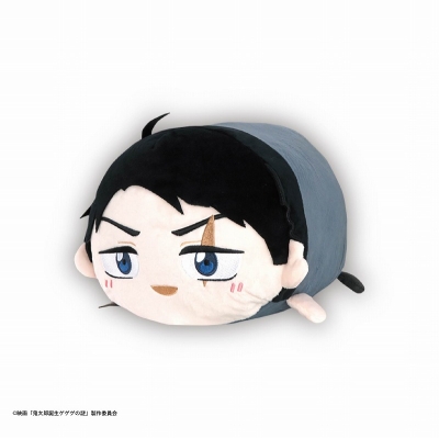 【グッズ-ぬいぐるみ】映画「鬼太郎誕生 ゲゲゲの謎」 ぽてコロマスコットBIG2 B:水木(ほろ酔いver.)