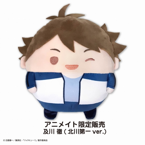 グッズ-ぬいぐるみ】ハイキュー!! ふわコロりんMsize スペシャル L 